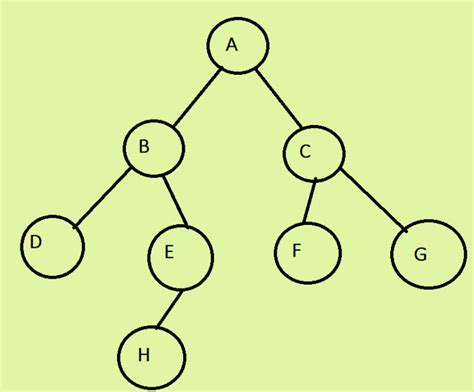 Image result for What Is Edge in Tree Data Structure