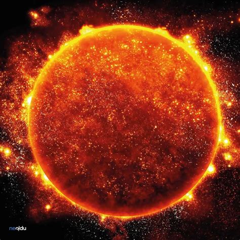 Image result for Sun System Software