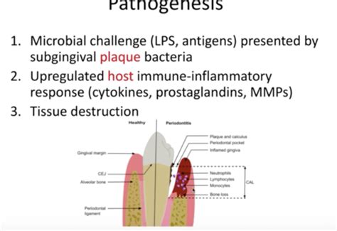Granulation Tissue に対する画像結果
