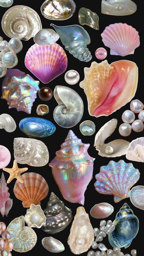 Image result for Shell Pecten Dual Screen Wallpaper