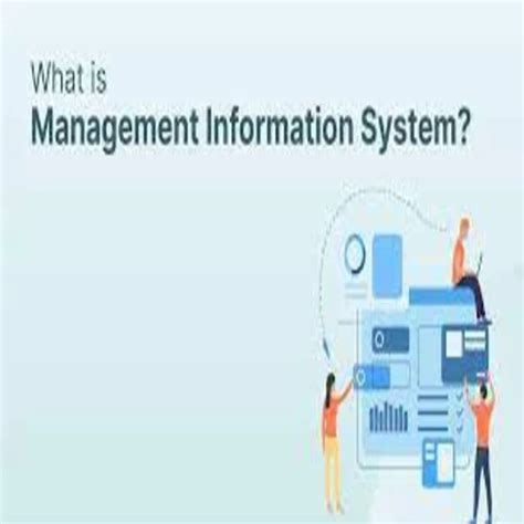 Management Information System Example に対する画像結果
