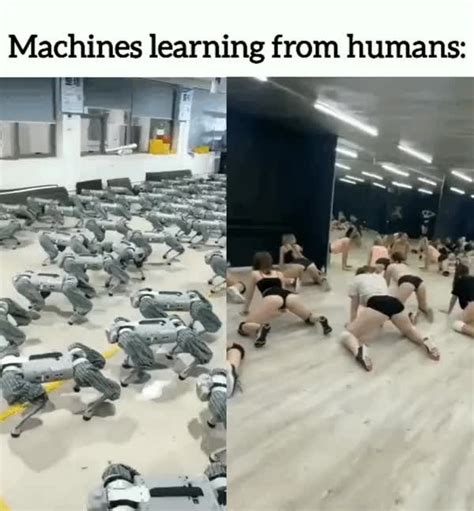 Afbeeldingsresultaten voor Supervised Learning Meme