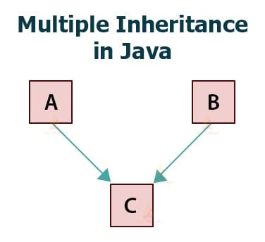 Image result for Inheritance in Java Real-Time Example