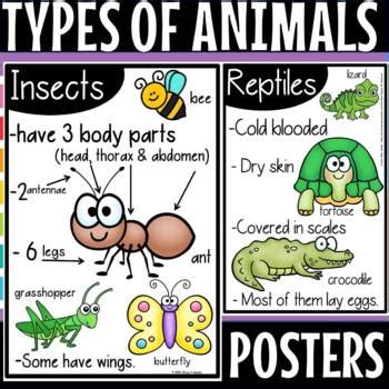 Animal Classification Poster に対する画像結果