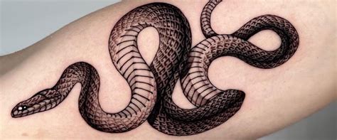 Image result for Python Head Tattoo