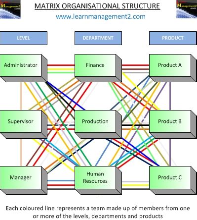 Afbeeldingsresultaten voor Matrix Structure Chart