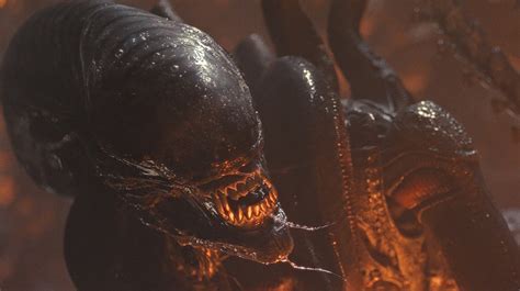 Afbeeldingsresultaten voor Alien Romulus Spawn