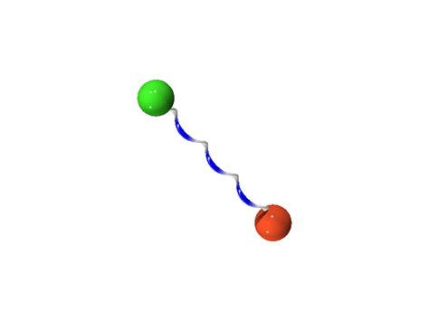 Path Integral Over Curve に対する画像結果