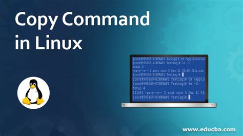 Copy Command in Linux に対する画像結果