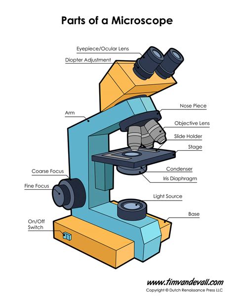 Afbeeldingsresultaten voor Compound Light Microscope Draw Tube