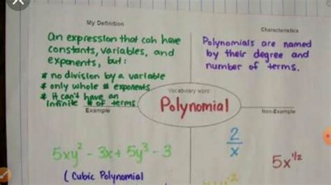 Image result for Concept Map. About Polynomial Function