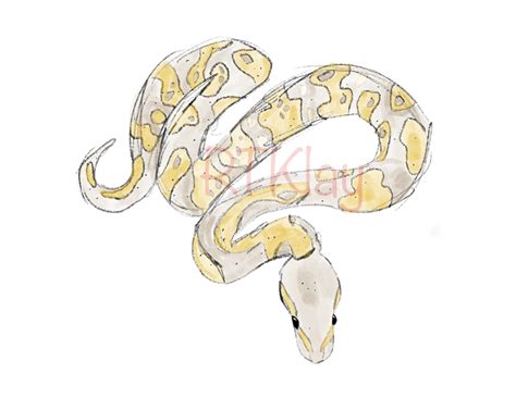 Image result for Bleeding Python Drawing
