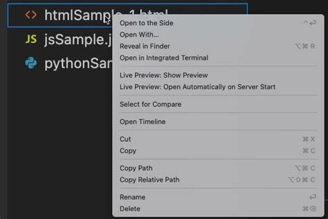 Toradh íomhá ar How to Run HTML in vs Code
