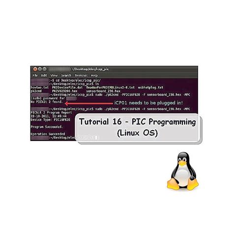 Image result for Linux OS Programming
