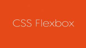 Image result for Verticle Flex CSS