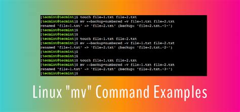 Afbeeldingsresultaten voor Linux Command Go to File