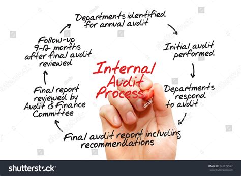 Image result for Internal Audit Process Flow Chart