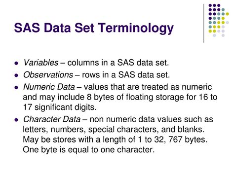 Image result for SAS Programming Slide