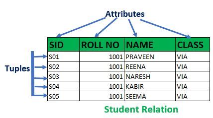 Image result for Relation Data Model