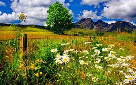 Image result for Spring Landscape Desktop