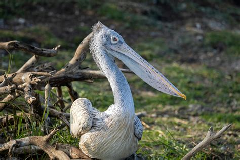 Image result for Wallpaper 8K Ultra HD PC