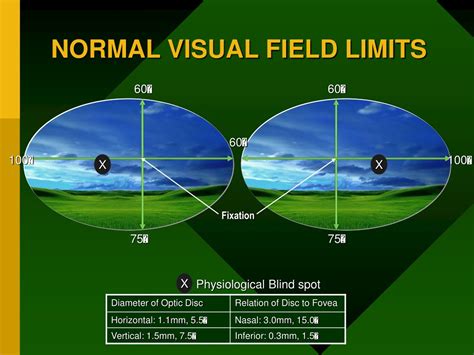 Image result for Normal Visual Field
