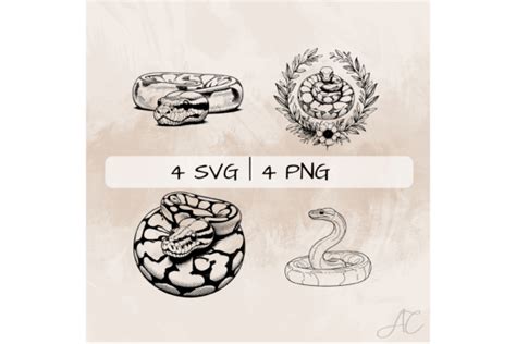 Image result for Clown Ball Python SVG