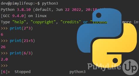 Image result for How to Stop a Python Program