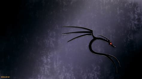 Image result for Kali Linux 壁紙