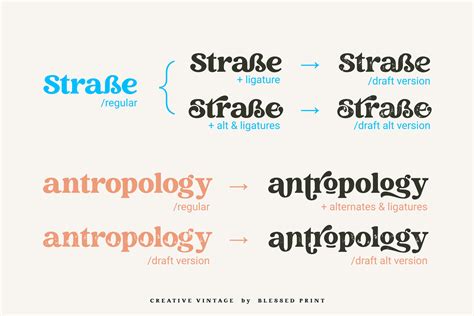 Creative Vintage | Serif Fonts
