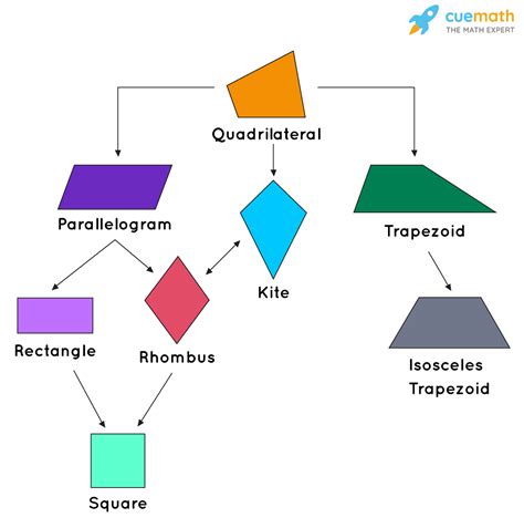 Square/Rectangle に対する画像結果