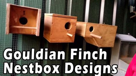 Java Finch Nest Box Images के लिए छवि परिणाम