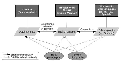 Image result for WordNet PNG