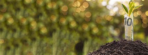 Afbeeldingsresultaten voor Economic Development Banner Design