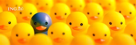 Image result for Different Project Life Cycle Models