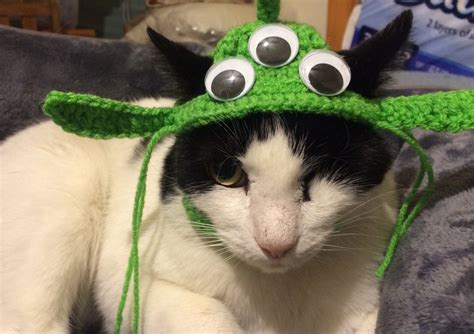 Image result for Alien Costume for Cat