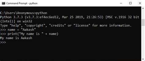 Image result for How Run a Code in Python Console