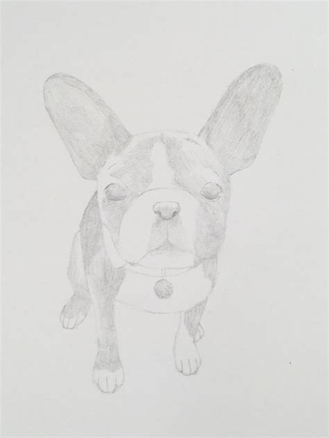 How Do You Draw Animals に対する画像結果