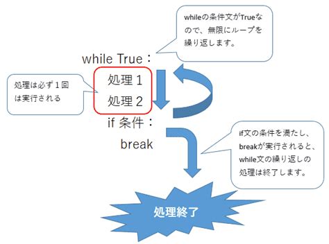 Toradh íomhá ar While True Python