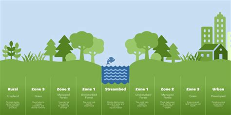 Image result for Defencable Buffer Planting