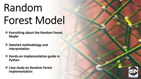 Image result for Random Forest Modelling
