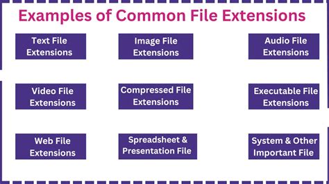 Image result for Common File Extensions