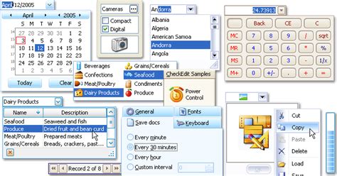 Image result for DevExpress Tools