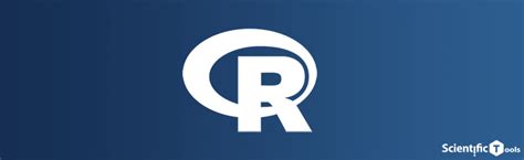 Image result for R Programming Language PNG