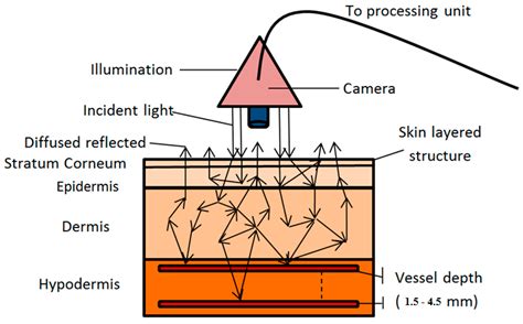 Image result for Diffused Light