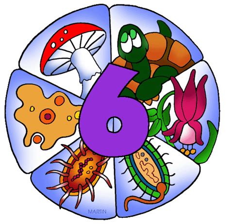 Science Class of Classification Examples に対する画像結果