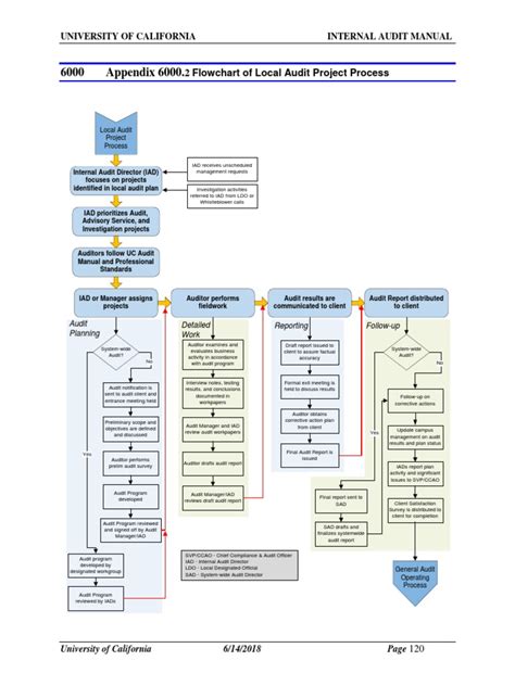 6000 Appendix 6000.: 2 Flowchart of Local Audit Project Process | PDF ...