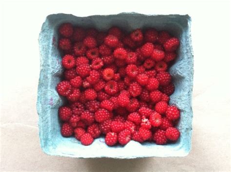 Image result for Raspberry Pi World Clock