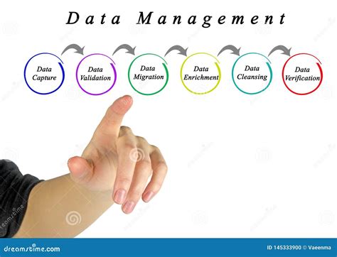 Image result for Data Processing Management